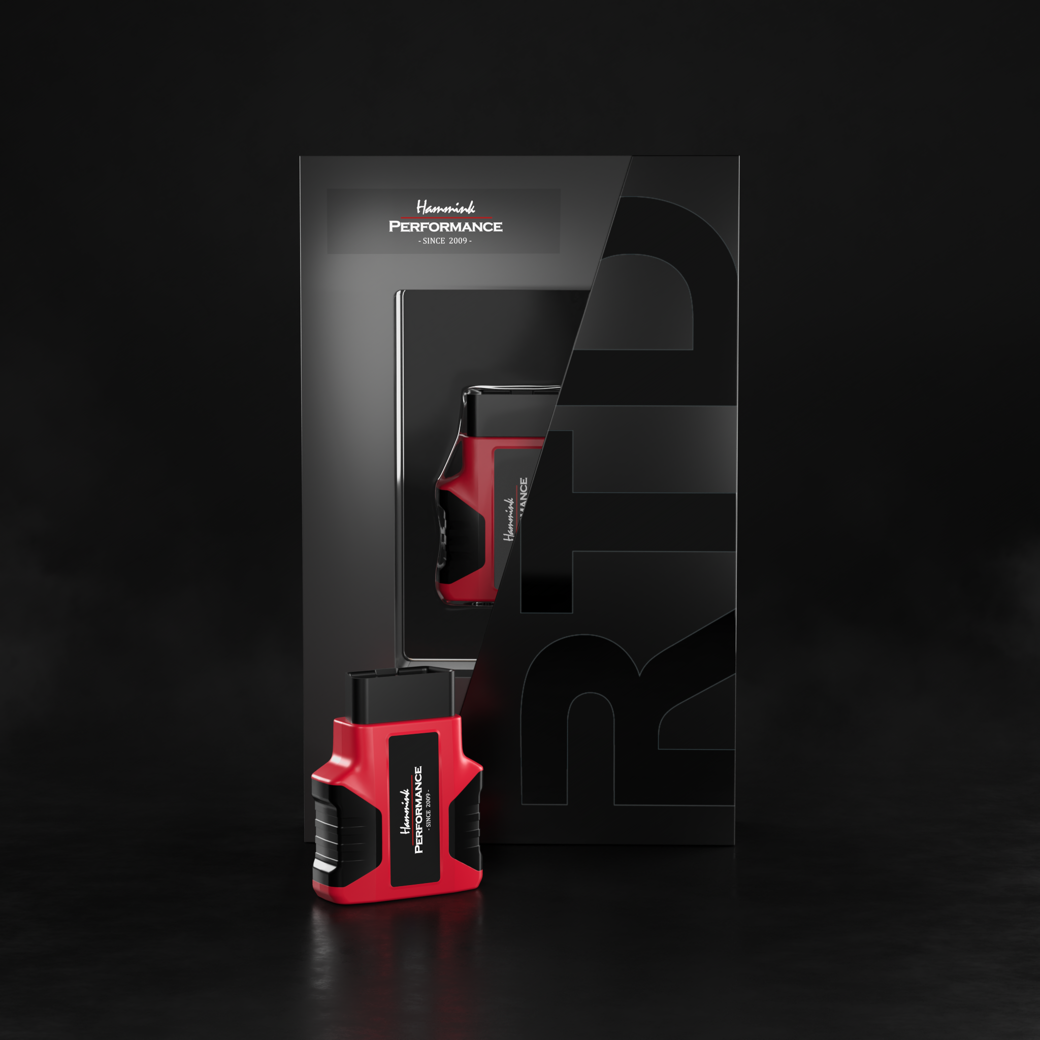 Hammink Performance - HP-Tuners RTD